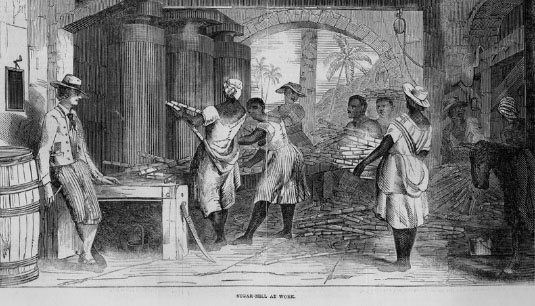 Sugar Slavery Brazil — Sugar Made in Brazil