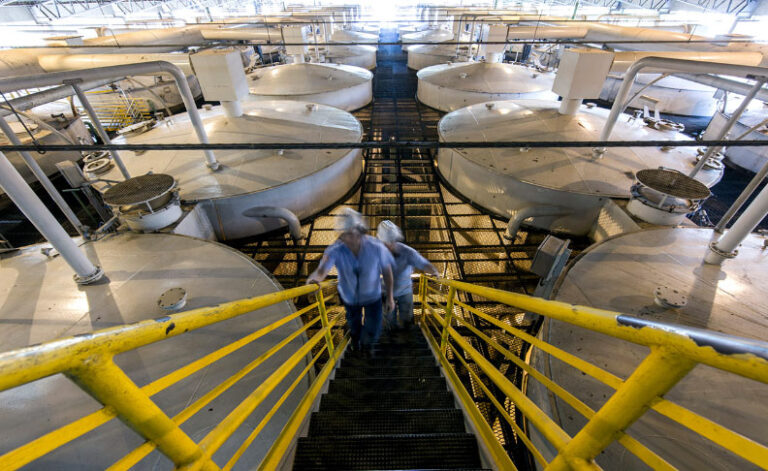 Sugar Manufacturer Brazil — Sugar Made in Brazil