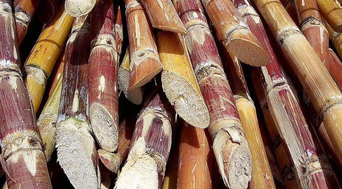 Sugar Production Brazil — Sugar Made in Brazil