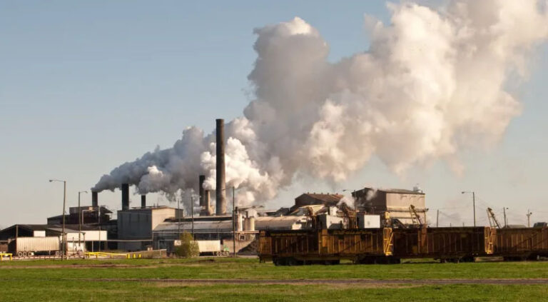 Brazilian sugar mill processing raw sugarcane into premium ICUMSA and VHP sugar