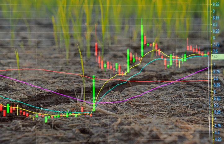 Sweet Sourcing: Navigating the Sugar Suppliers Brazil List - Brazilian Sugar Export