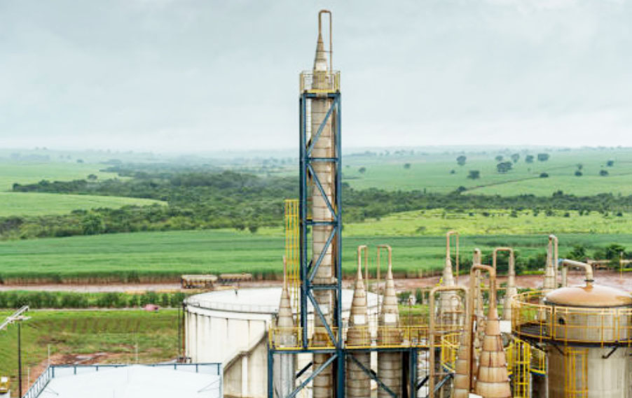 Sugar Companies Brazil — Sugar Made in Brazil - Sugar Producers Brazil