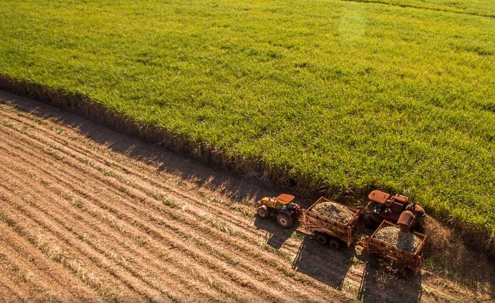 Cost Of Importing Sugar From Brazil — Sugar Made in Brazil